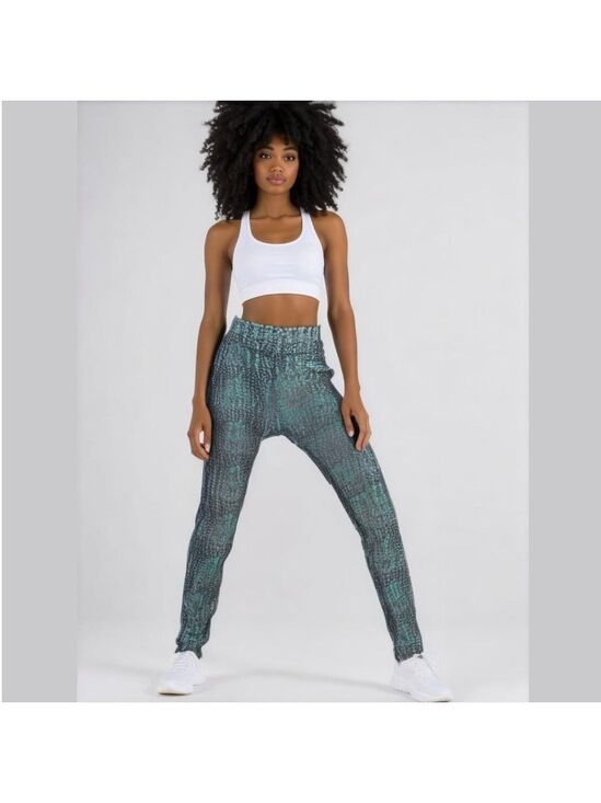 The North Face Pants - Women's The North Face Leggings Size S Blue Green
